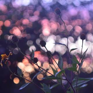 Spring aesthetic computer wallpaper