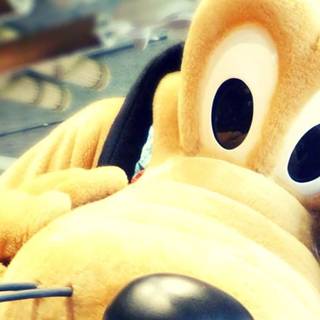 Disney Pluto wallpaper