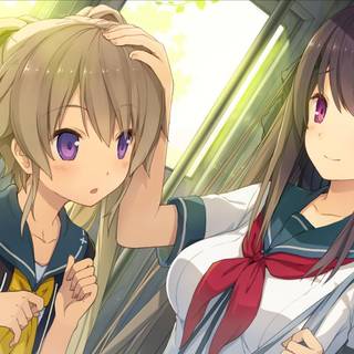 Tobisawa Misaki wallpaper