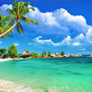 Tropical sea wallpaper