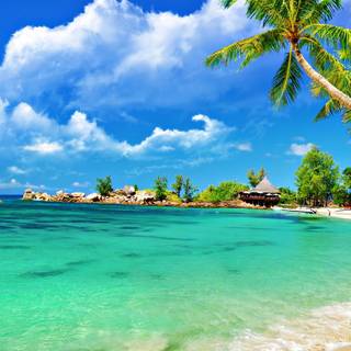 Tropical sea wallpaper