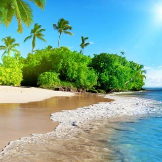 Tropical sea wallpaper