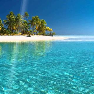 Tropical sea wallpaper
