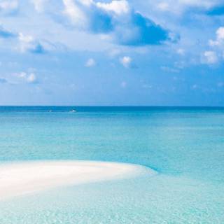 Tropical sea wallpaper