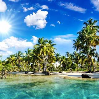 Tropical sea wallpaper