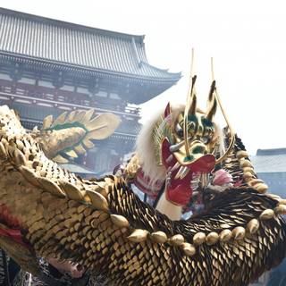 Dragon dance wallpaper