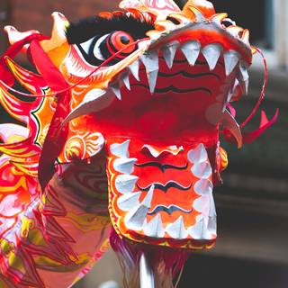 Dragon dance wallpaper