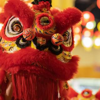 Dragon dance wallpaper