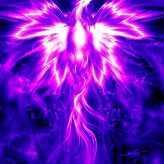 Purple Phoenix wallpaper