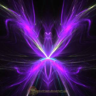 Purple Phoenix wallpaper