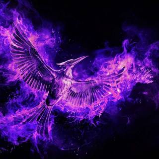Purple Phoenix wallpaper