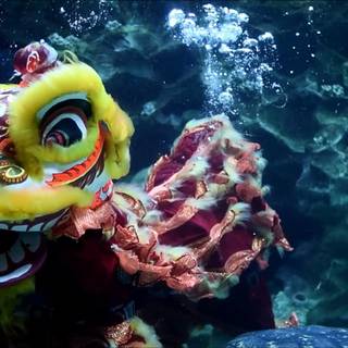 Dragon dance wallpaper