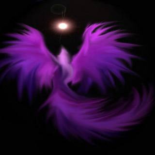 Purple Phoenix wallpaper