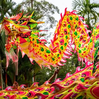 Dragon dance wallpaper