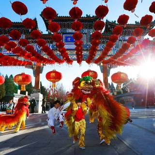 Dragon dance wallpaper