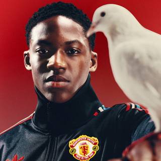 Manchester United 2024 phone wallpaper