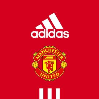 Manchester United 2024 phone wallpaper