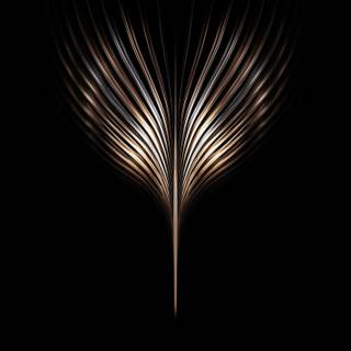 Honor Magic wallpaper