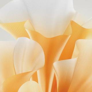 Honor Magic wallpaper