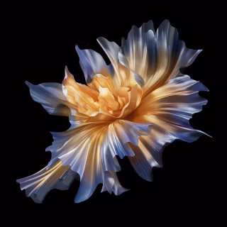 Honor Magic wallpaper