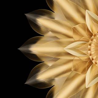 Honor Magic wallpaper