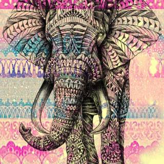 Elephant mandala wallpaper