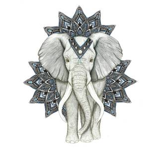 Elephant mandala wallpaper