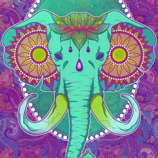 Elephant mandala wallpaper