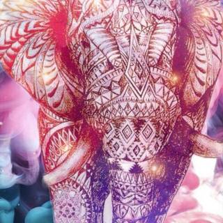 Elephant mandala wallpaper