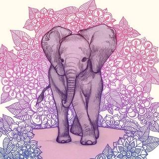 Elephant mandala wallpaper