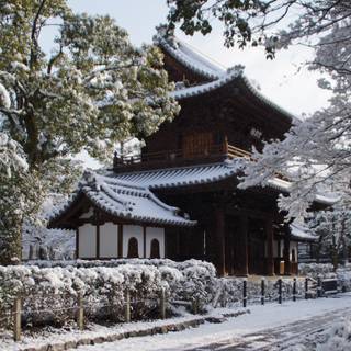 Japan winter HD wallpaper