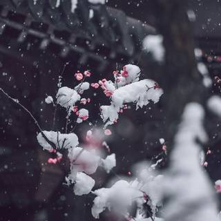 Japan winter iPhone wallpaper