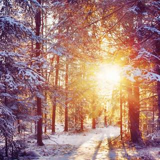 Japan winter iPhone wallpaper