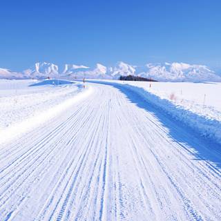 Japan winter HD wallpaper