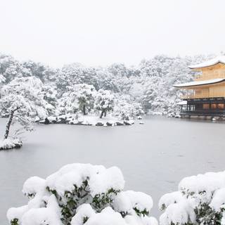 Japan winter HD wallpaper