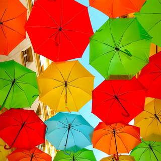 Spring rainbow umbrella wallpaper