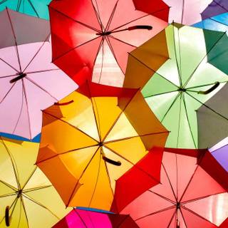 Spring rainbow umbrella wallpaper