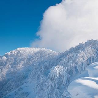 Japan winter HD wallpaper