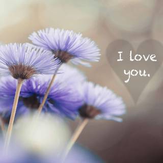 Love you mother wallpaper