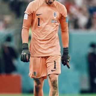 Dominik Livaković wallpaper