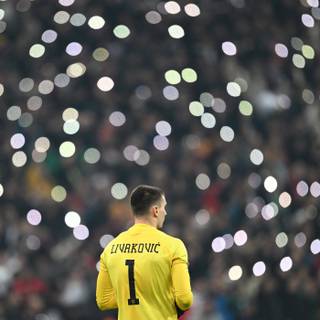 Dominik Livaković wallpaper