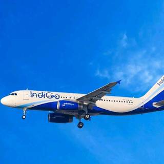 IndiGo flight wallpaper