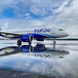 IndiGo flight wallpaper