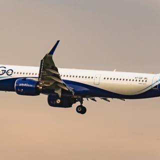 IndiGo flight wallpaper