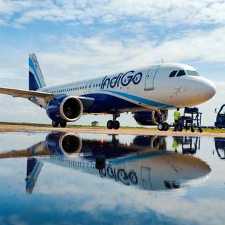 IndiGo flight wallpaper