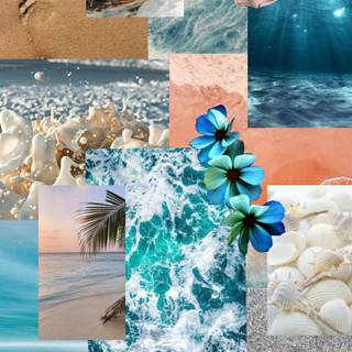 Turtle collage wallpaper