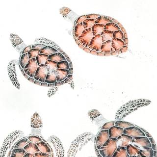 Turtle collage wallpaper