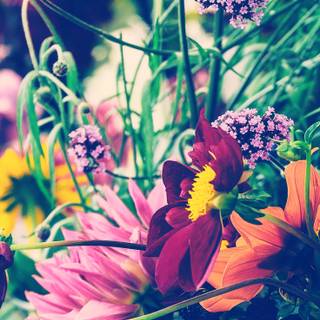 Preppy early spring wallpaper