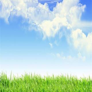 Spring blue sky wallpaper