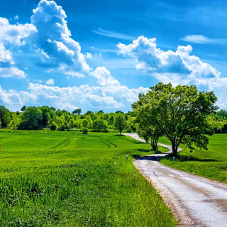 Spring blue sky wallpaper